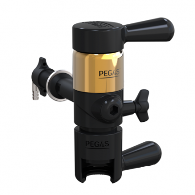 PEGAS Evolution Gold в Барнауле